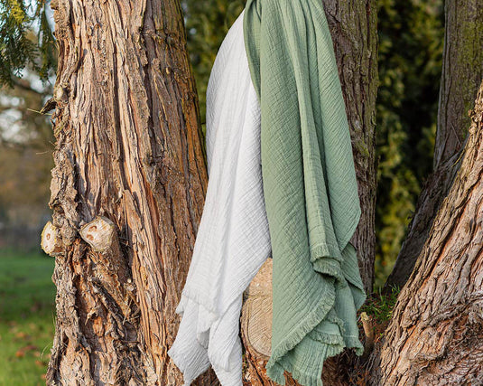 PLAID BREHAT - TOISON D'OR