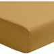 Sahara